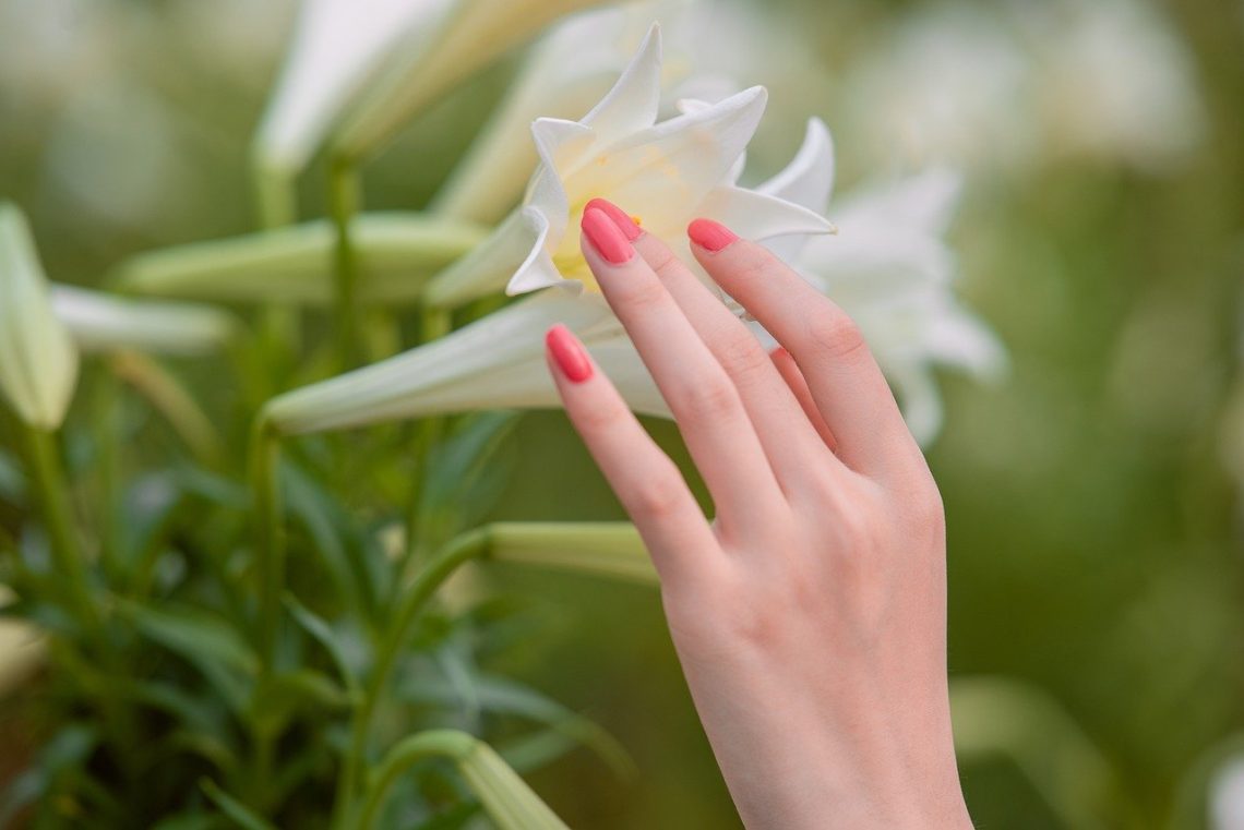 flowers, hand, nails