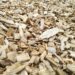 a pile of wood chips sitting on top of a wooden floor